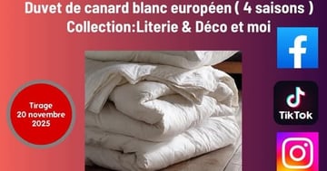 Concours Boutique Literie & Déco et moi - Gagnez une Couette TOSCANE - Duvet de canard blanc européen