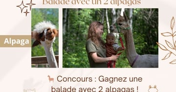 Concours Alpagas du Domaine Poissant!