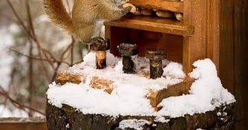Concours Les deux loutres - Gagnez un séjour inoubliable de 2 nuits dans notre magnifique chalet!