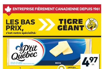 Circulaire Tigre Géant