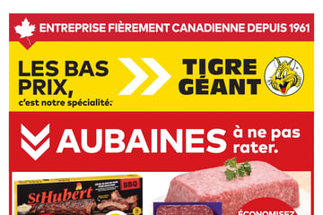 Circulaire Tigre Géant