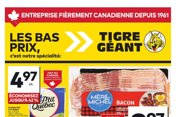 Circulaire Tigre Géant
