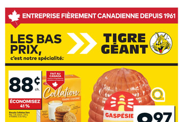 Circulaire Tigre Géant