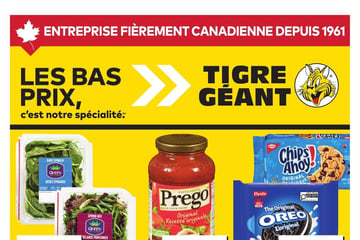 Circulaire Tigre Géant