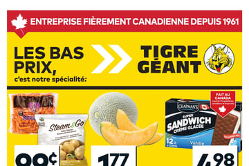 Circulaire Tigre Géant