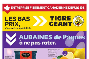 Circulaire Tigre Géant