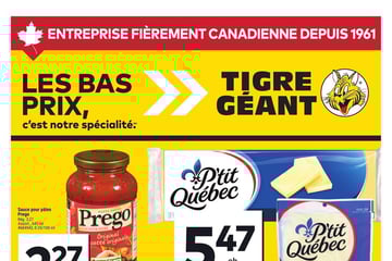 Circulaire Tigre Géant
