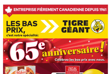 Circulaire Tigre Géant