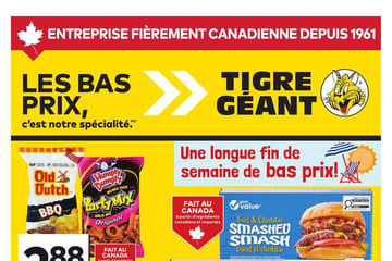 Circulaire Tigre Géant