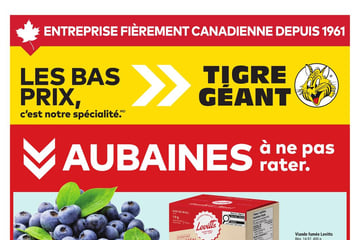 Circulaire Tigre Géant