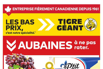 Circulaire Tigre Géant