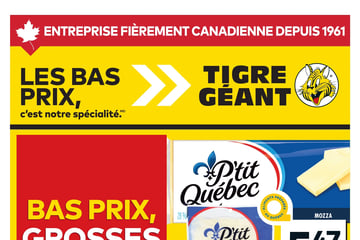 Circulaire Tigre Géant