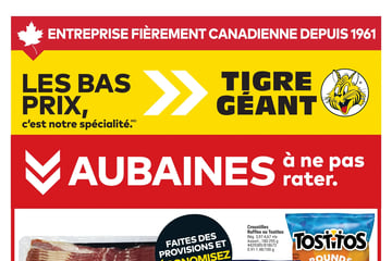 Circulaire Tigre Géant
