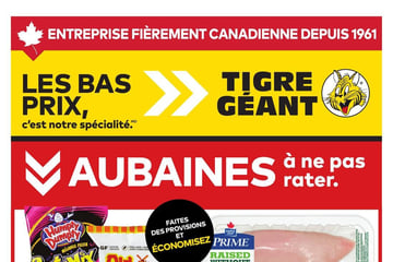 Circulaire Tigre Géant