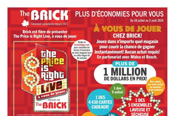 Circulaire Brick