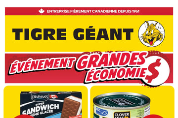 Circulaire Tigre Géant