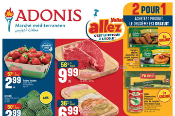 Circulaire Adonis