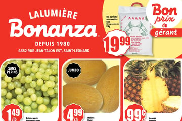 Circulaire Bonanza
