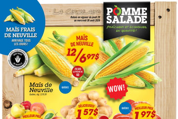 Circulaire Pomme Salade