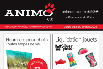 Circulaire Animo etc