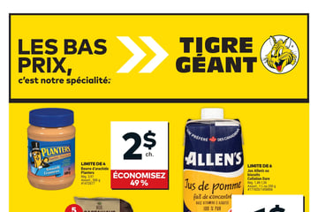 Circulaire Tigre Géant