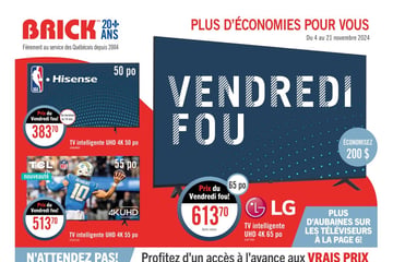 Circulaire Brick - Vendredi Fou
