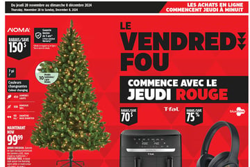 Circulaire Canadian Tire - Solde du Vendredi Fou