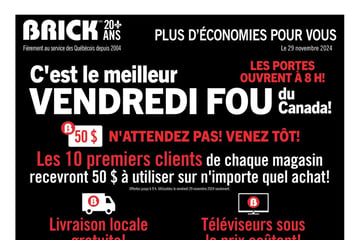 Circulaire Brick - C'est le Meilleur Vendredi Fou
