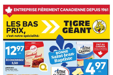 Circulaire Tigre Géant