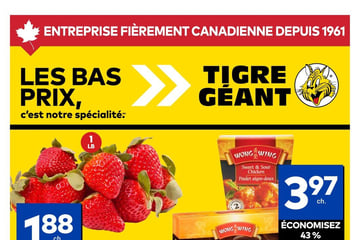 Circulaire Tigre Géant
