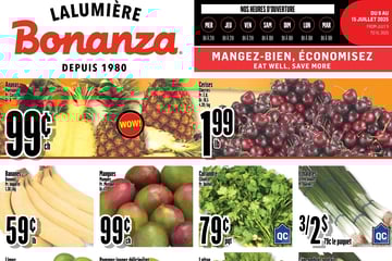 Circulaire Bonanza