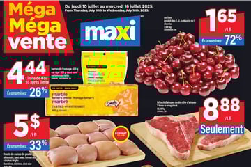 Circulaire Maxi