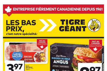 Circulaire Tigre Géant