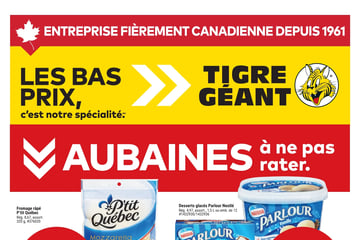 Circulaire Tigre Géant