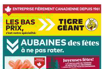 Circulaire Tigre Géant