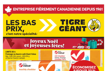 Circulaire Tigre Géant