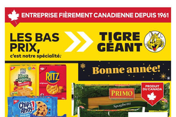 Circulaire Tigre Géant