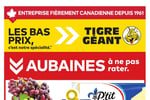 Circulaire Tigre Géant