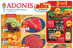 Circulaire Adonis
