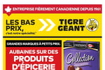 Circulaire Tigre Géant