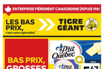 Circulaire Tigre Géant