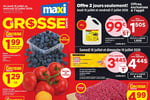 Circulaire Maxi