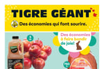 Circulaire Tigre Géant