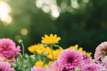 Circulaire BMR - Catalogue Horticole