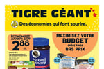 Circulaire Tigre Géant
