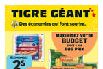 Circulaire Tigre Géant