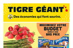 Circulaire Tigre Géant