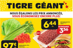 Circulaire Tigre Géant