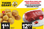 Circulaire Tigre Géant