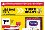 Circulaire Tigre Géant